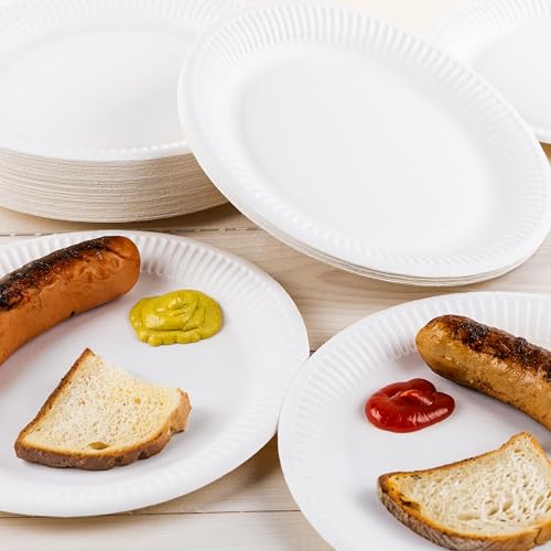HEKU paper plates (Ø 23cm, 100 pieces): 100% compostable | Environmentally friendly disposable plates