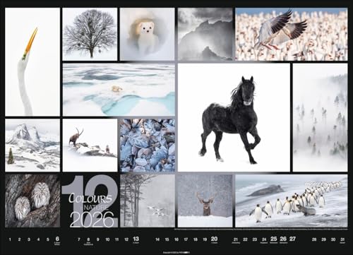Calendar 'Colours of Nature' 2026: Large photo wall calendar in landscape format (68x49cm)