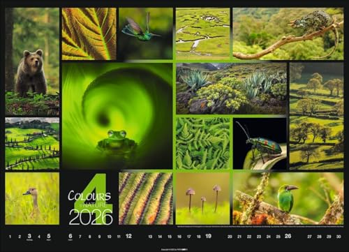 Calendar 'Colours of Nature' 2026: Large photo wall calendar in landscape format (68x49cm)