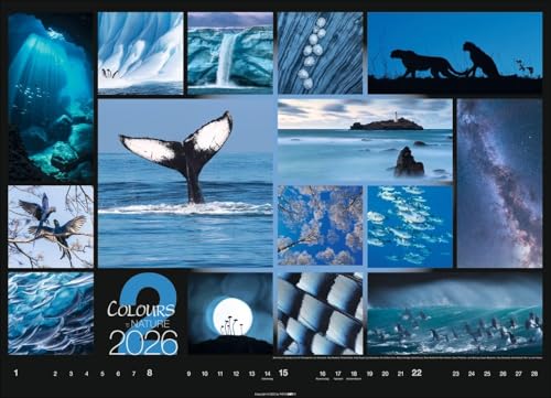 Calendar 'Colours of Nature' 2026: Large photo wall calendar in landscape format (68x49cm)