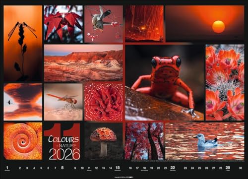 Calendar 'Colours of Nature' 2026: Large photo wall calendar in landscape format (68x49cm)