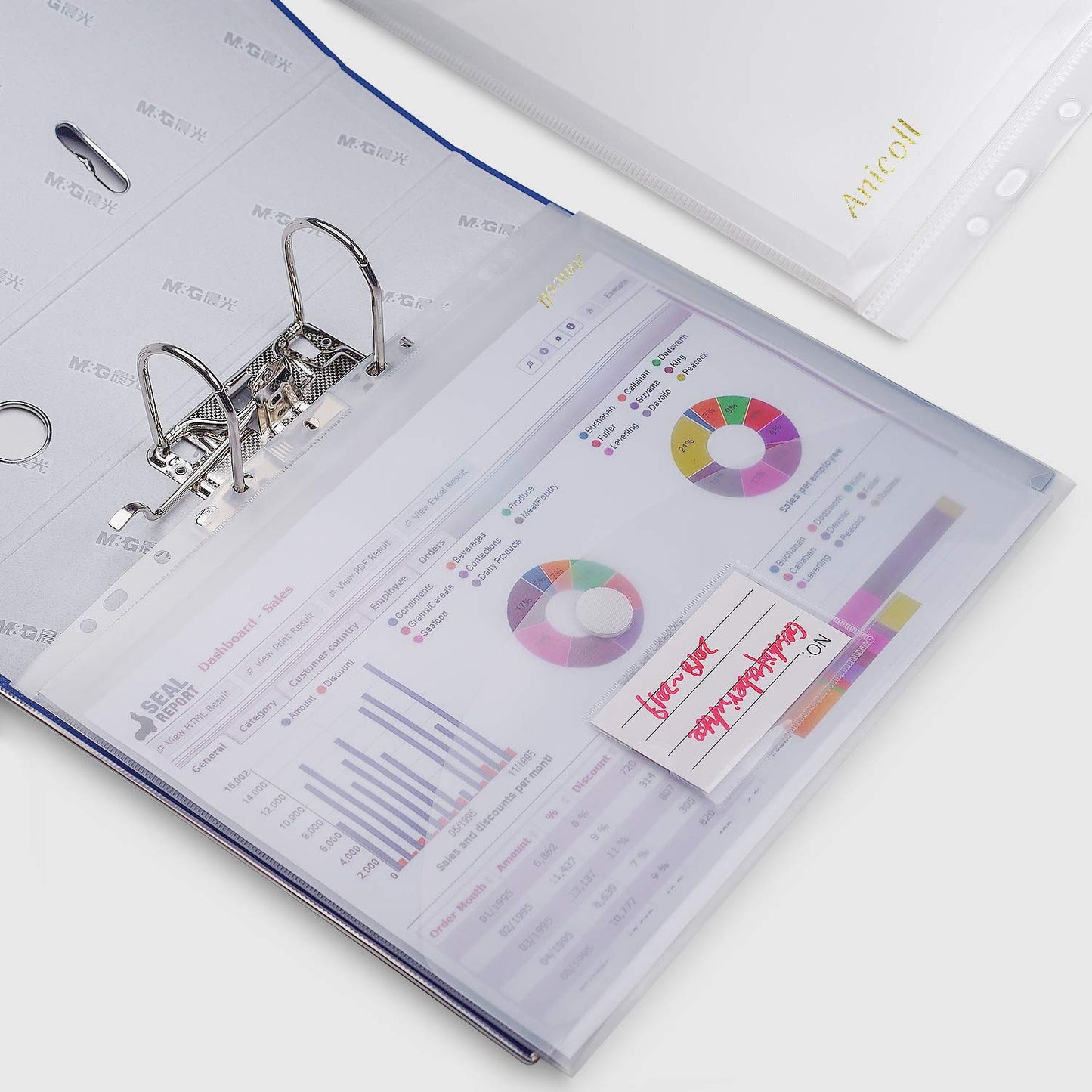 Document folders DINA4 (20-pack) with binder holes/velcro fastener and label pocket