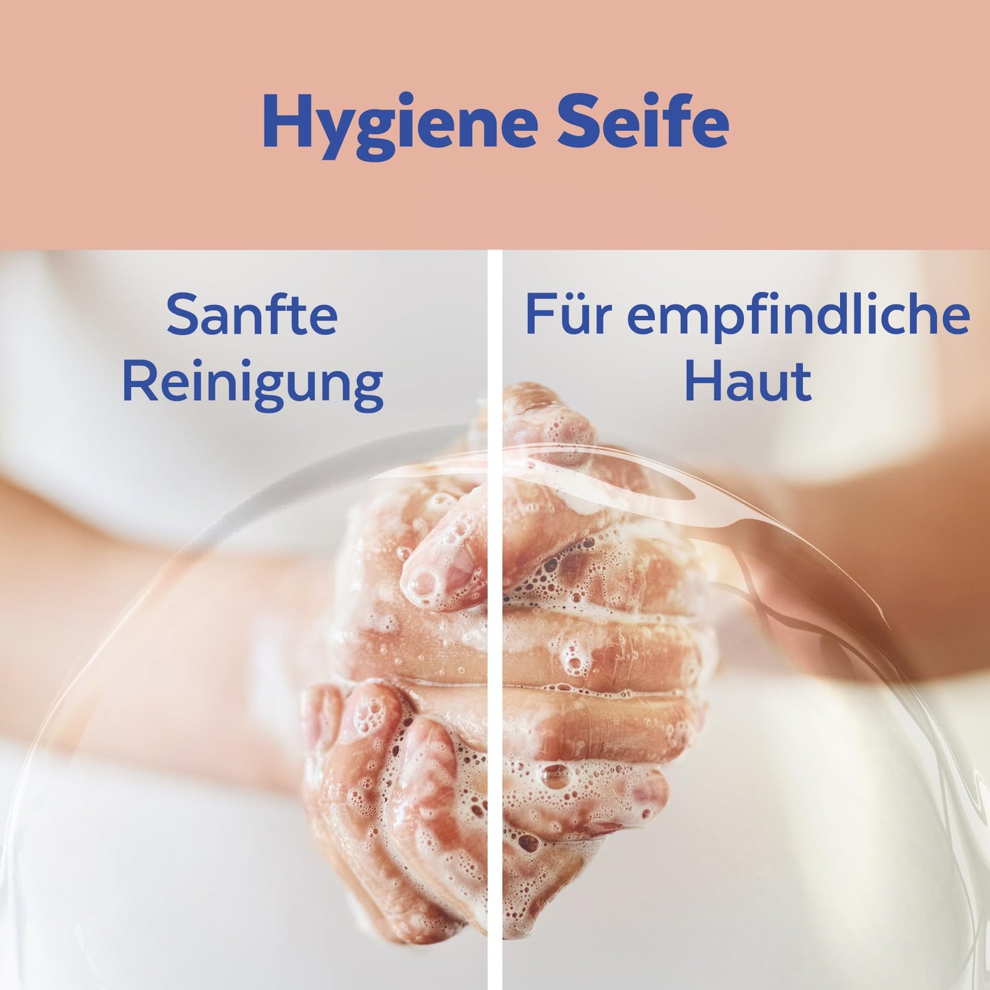 Sagrotan No-Touch Seifenspender Nachfüllseife Aloe Vera (5 x 250ml)