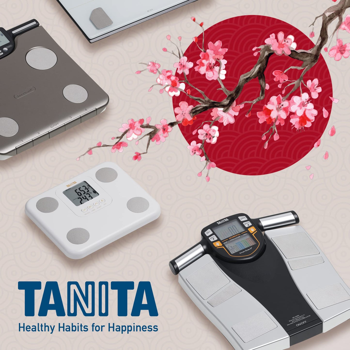 TANITA (BC-545N ) Segment-Körperzusammensetzungswaage: On-Screen Messwerte