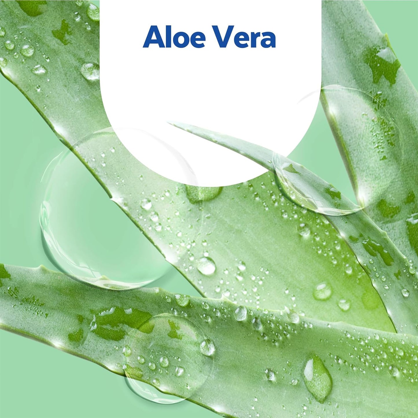 Sagrotan No-Touch Seifenspender Nachfüllseife Aloe Vera (5 x 250ml)