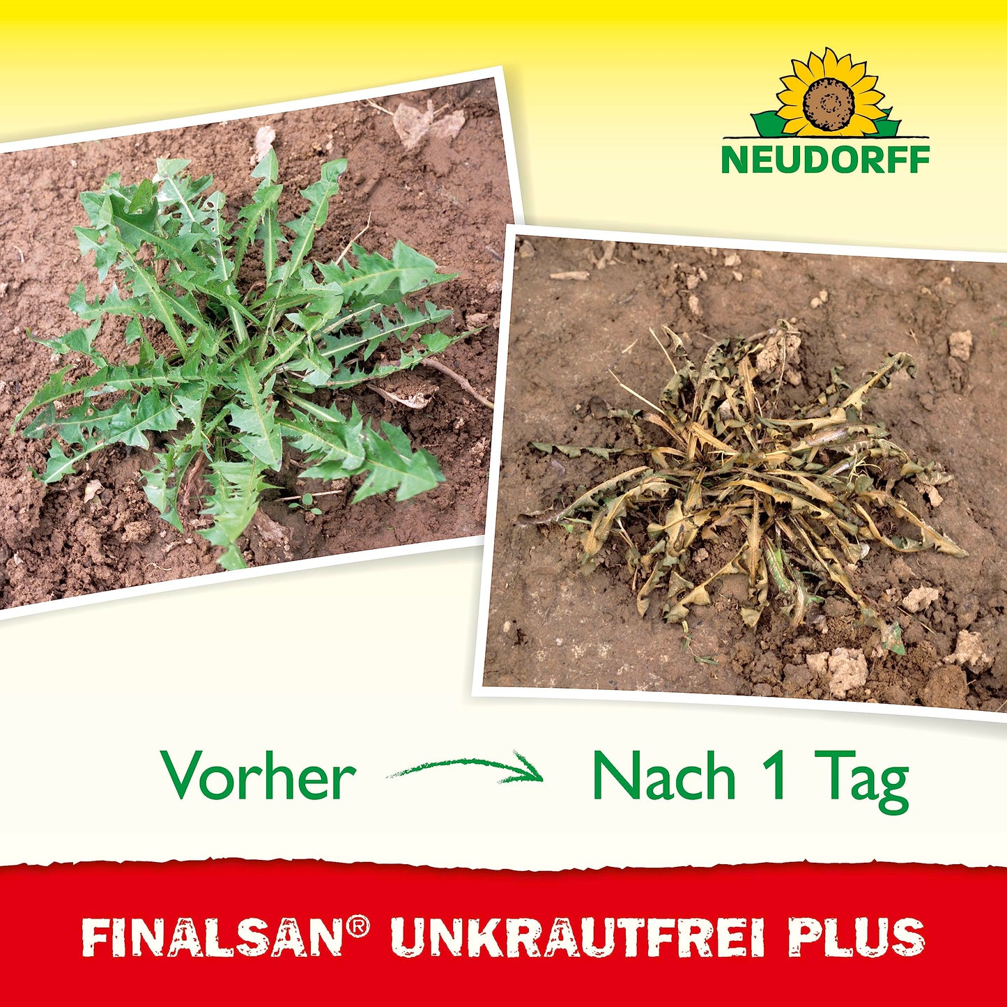 Neudorff Finalsan UnkrautFrei Plus Concentrate (2L) that works right down to the roots