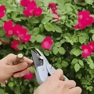 Gartenschere aus Kohlenstoffstahl mit Sicherheitsschloss und Ratschenmechanismus (Preview GIF)