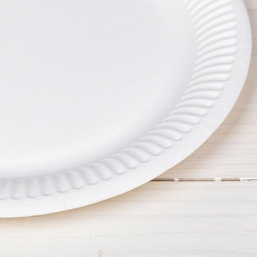 HEKU paper plates (Ø 23cm, 100 pieces): 100% compostable | Environmentally friendly disposable plates