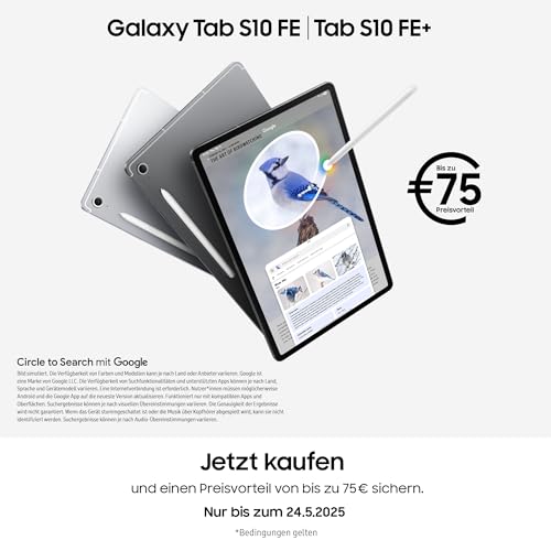 Samsung Galaxy S10 FE+ AI Tablet incl. S Pen: 256GB storage, 12GB RAM, Silver 