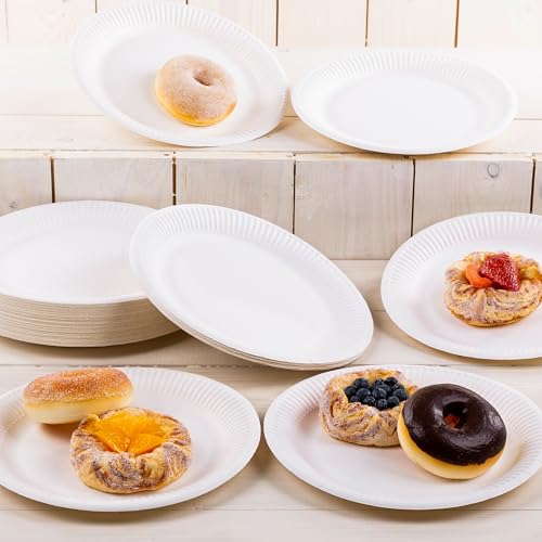 HEKU paper plates (Ø 23cm, 100 pieces): 100% compostable | Environmentally friendly disposable plates