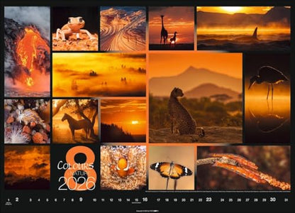 Calendar 'Colours of Nature' 2026: Large photo wall calendar in landscape format (68x49cm)