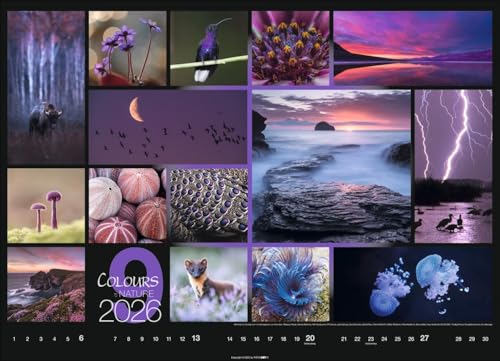 Calendar 'Colours of Nature' 2026: Large photo wall calendar in landscape format (68x49cm)