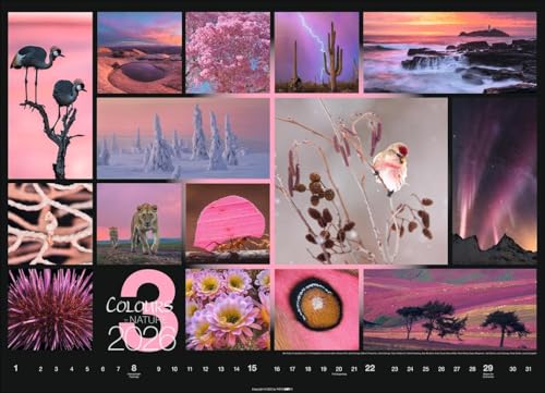 Calendar 'Colours of Nature' 2026: Large photo wall calendar in landscape format (68x49cm)