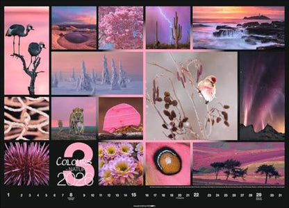 Calendar 'Colours of Nature' 2026: Large photo wall calendar in landscape format (68x49cm)
