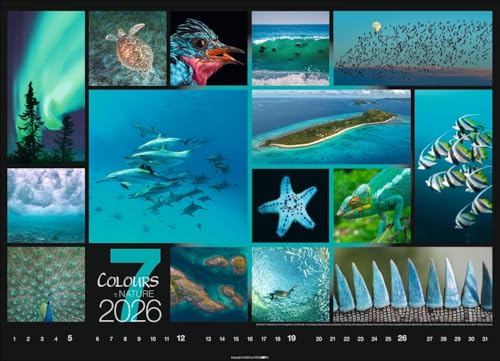 Calendar 'Colours of Nature' 2026: Large photo wall calendar in landscape format (68x49cm)