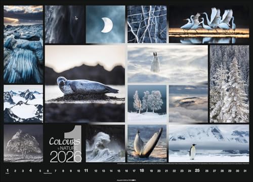 Calendar 'Colours of Nature' 2026: Large photo wall calendar in landscape format (68x49cm)