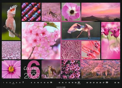 Calendar 'Colours of Nature' 2026: Large photo wall calendar in landscape format (68x49cm)
