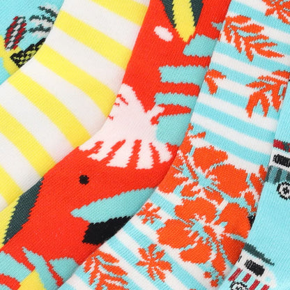 Fashion Mix Cotton Socks for Boys &amp; Girls (Pack of 10)