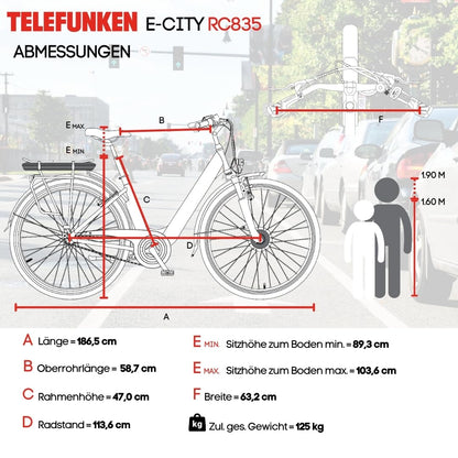 TELEFUNKEN (RC835) multi-talented e-bike for women: front motor, 3-speed, V-brakes