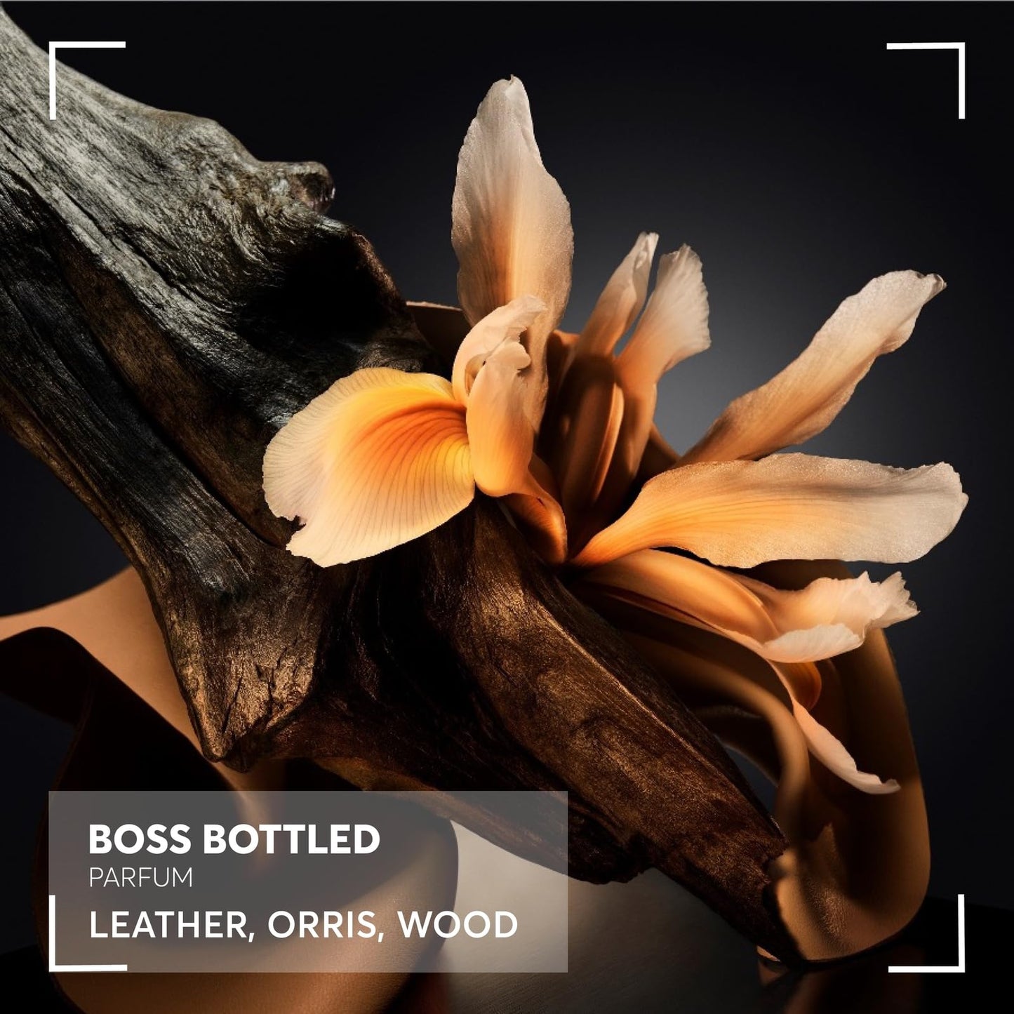 BOSS Bottled perfume for men for long-lasting freshness and elegance