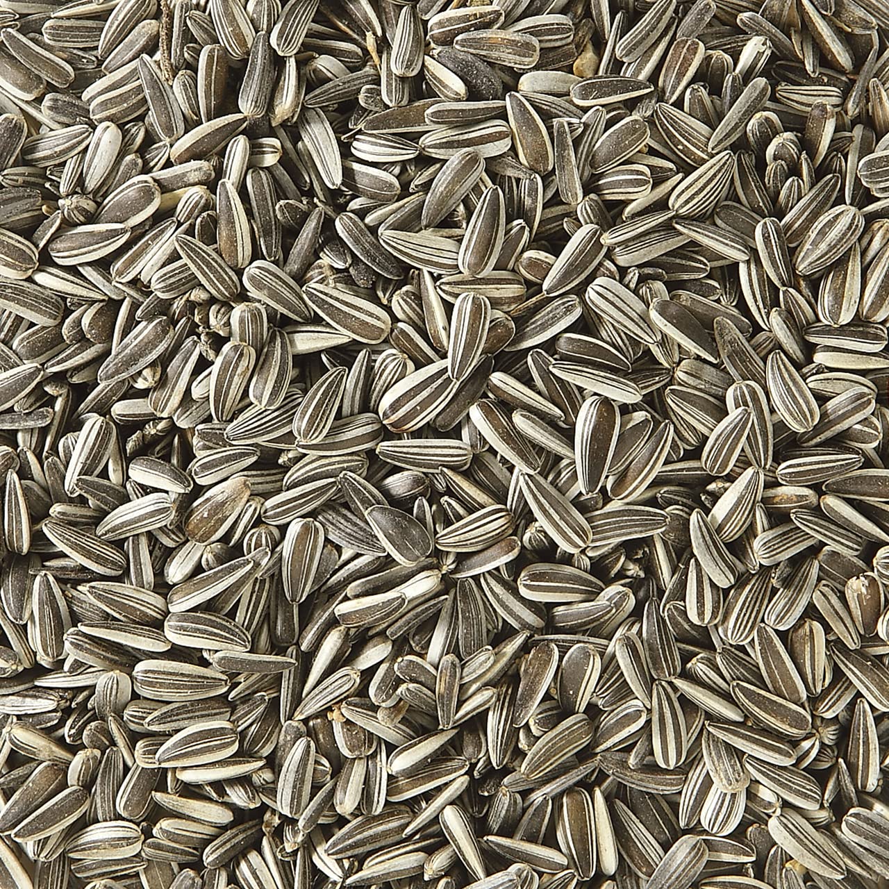 Dehner Natura Premium-Ganzjahres-Wildvogelfutter: Sonnenblumenkerne (5kg)