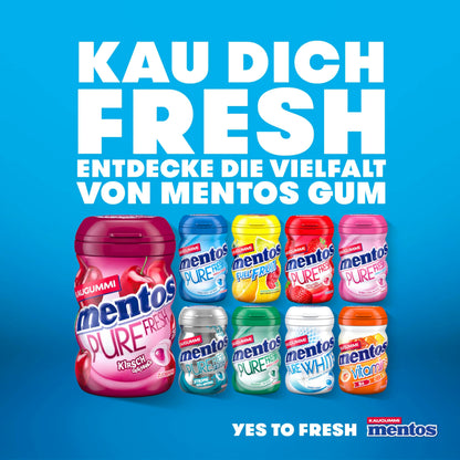 Mentos Chewing Gum Full Fruit (6 x 35 pieces) in three varieties with fruit flavor &amp; liquid filling