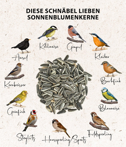 Dehner Natura Premium-Ganzjahres-Wildvogelfutter: Sonnenblumenkerne (5kg)